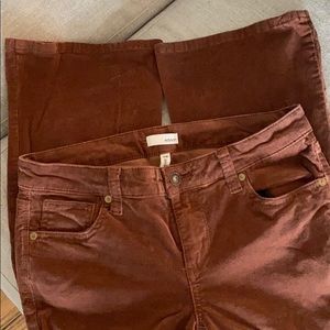 Edyson Stitch Fix Chelsea Bootcut Corduroy Jeans